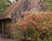 Ireland Landscape Photography Fine Art Home Decor Fuschia Old Stone Cottage Lustre  5 X 7 Photograph Print