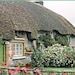 Fine Art Landscape Photography Ireland Home Decor 8 x 10 Thatched Cottage Photograph Print