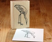 Sandhill crane feeding - mounted rubber stamp