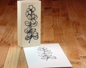 lingonberry in bloom - mounted rubber stamp