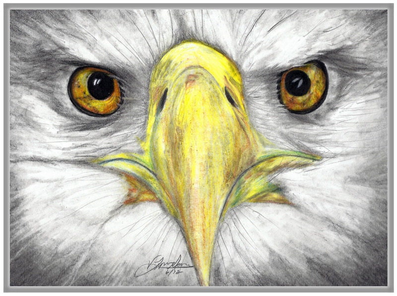 Eagle Eye