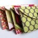 Snap Card Case - Lime Dots and Starling Bird
