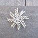 Star frond hairclip