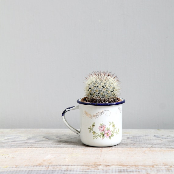 Antique Enamelware Baby Cup