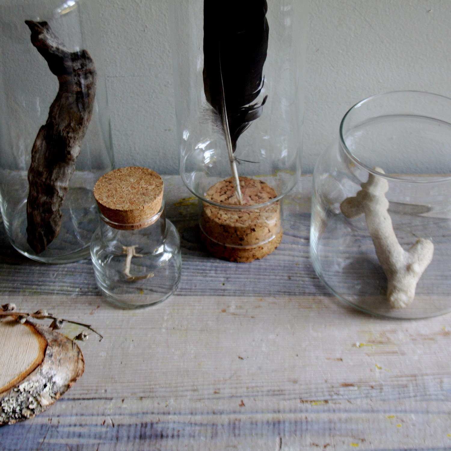 Four Vintage Glass Specimen Jars