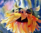 Sunflower Watercolor Print - signed limited edition - Alisa Wilcher