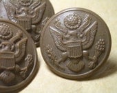 Women's Army Corps - Vintage Uniform Buttons