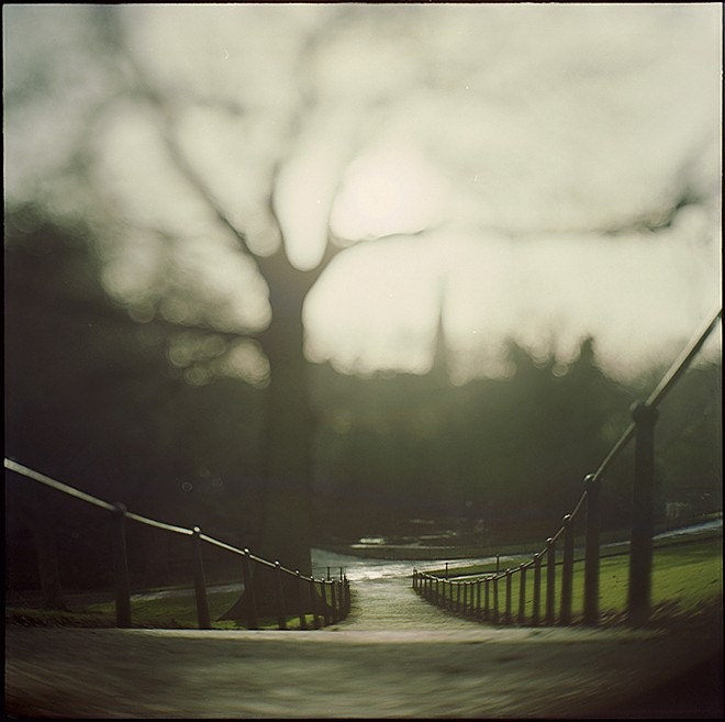 Dublin, Phoenix Park aka 'on thoughts'