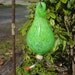 Summer Green Hand Blown Glass Hummingbird Feeder