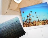 SALE - postcard set - finding winter