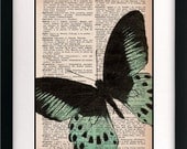 butterfly print - butterfly art print - vintage dictionary print - book page art print - vintage home decor - 8x10