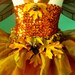 Reserved for Kathryn - Copper Woodland Faerie Flowergirl -