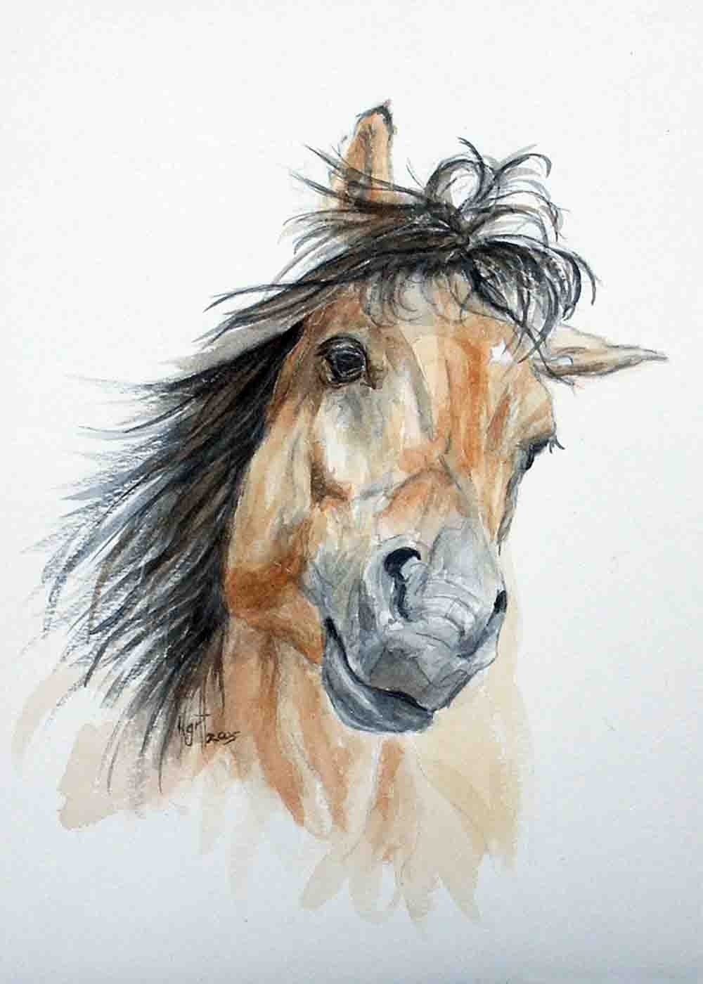 I Want To Play - a beautiful buckskin horse who wants to play - 5 x 7 print of my orginal watercolor