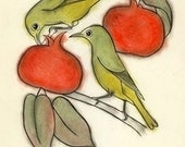 Bird art -  Persimmon breakfast -  4 X 6 print