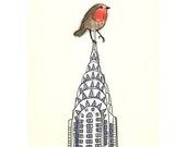 Robin. Robin Kong -   (8.3" X 11.7"  robin print)