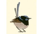 Australian bird art print -  Christopher Wren II - 4" x 6" superb blue fairy wren print