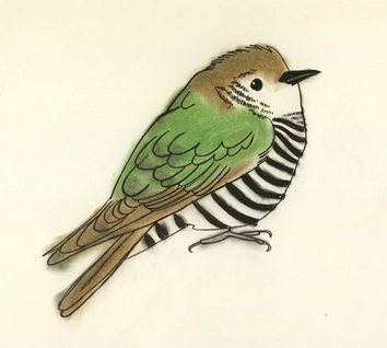 Cuckoo bird art print - Clyde the Cuckoo - 4" X 6" print