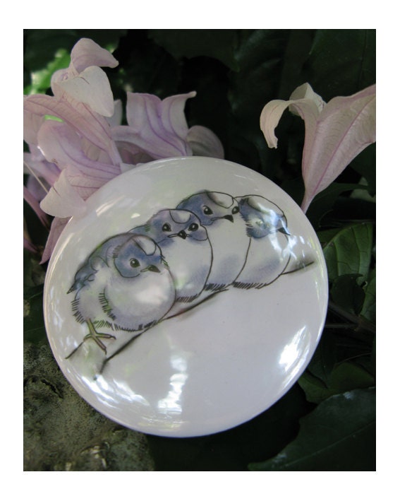 Blue Bird art Pocket Mirror - The Quads 3" art mirror