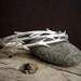 Twig Cuff