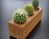 Wood Cactus Planter in Recycled Cedar