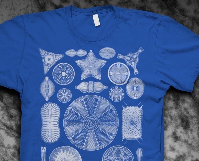 Diatoms Ernst Haeckel Mens Tshirt