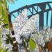 Archival print - Opera