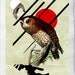 The owl, Fine Art Collage Illustration Print on handmade watercolor paper, 8x12 inch,