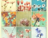SALE - Flower photography, flower prints pastel colors, shabby chic decor, garden art 9 Fine Art Prints 5x5
