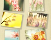 Flower photography, summer flowers mustard yellow   Set of 6 5x7 and 5x5  photos