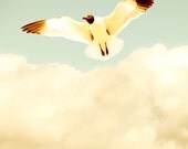 30% OFF Summer photography, bird print, seagull, coastal, fresh mint green, Virginia, beach photography, neutrals, cream, harvest gold