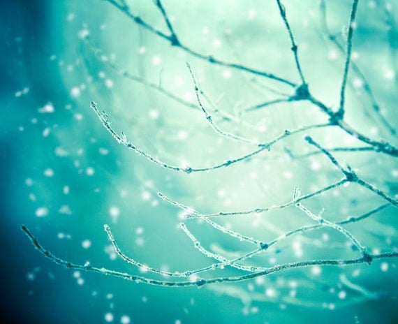 Winter photography abstract falling snow snowflakes teal blue silver blue green snowflakes - Sparkle and Glow 8x10