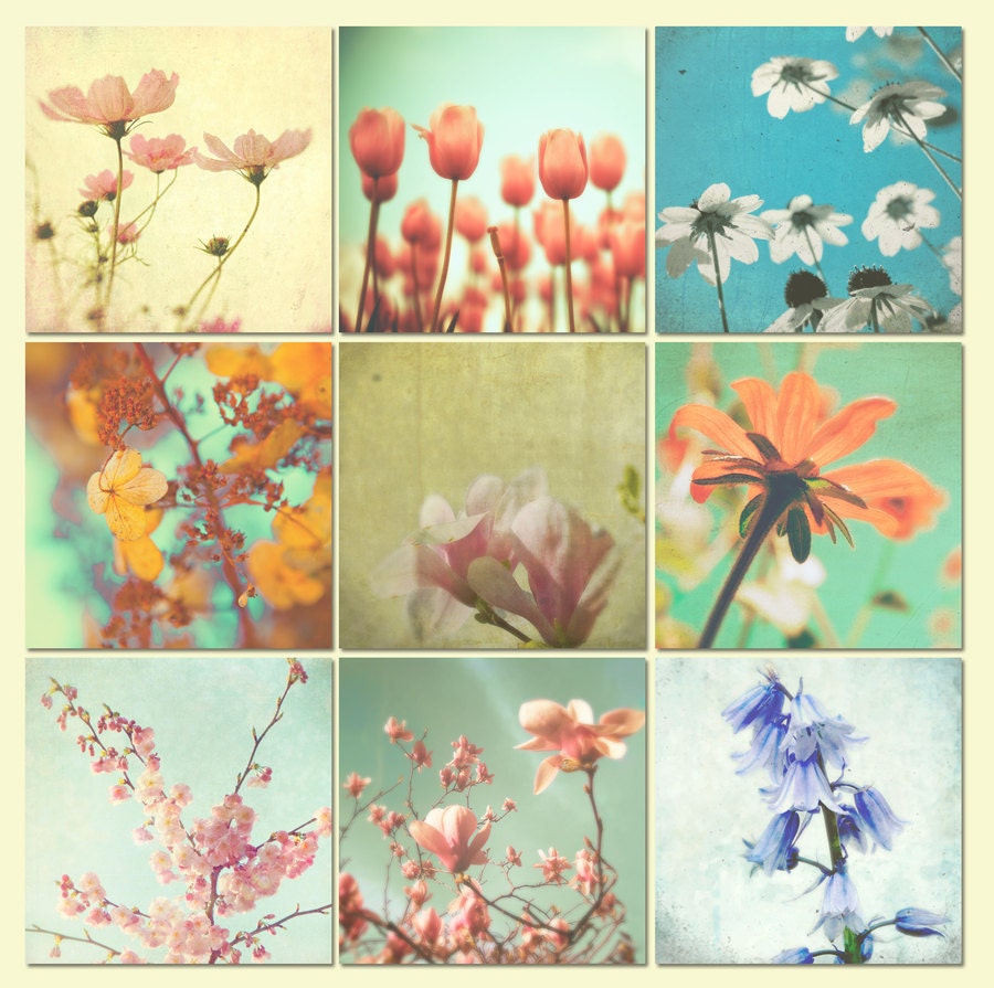 SALE - Flower photography, flower prints pastel colors, shabby chic decor, garden art 9 Fine Art Prints 5x5