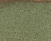 Sage on Java Primitive Paint Sample