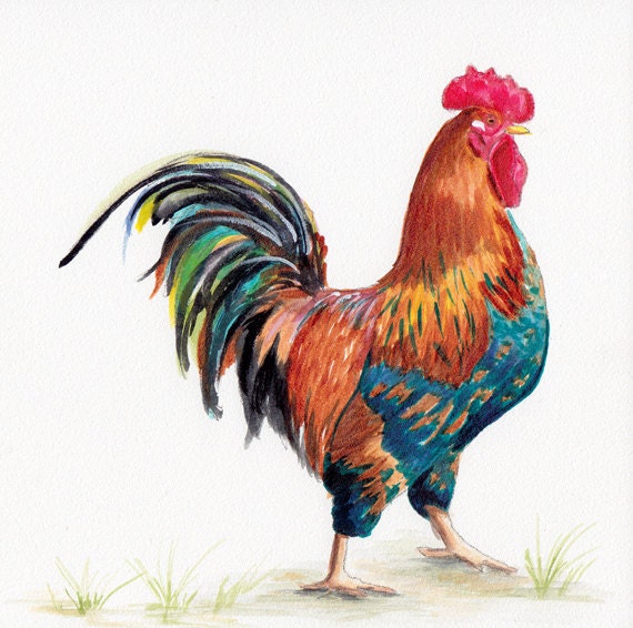 Rooster - ORIGINAL watercolor by Redstreake