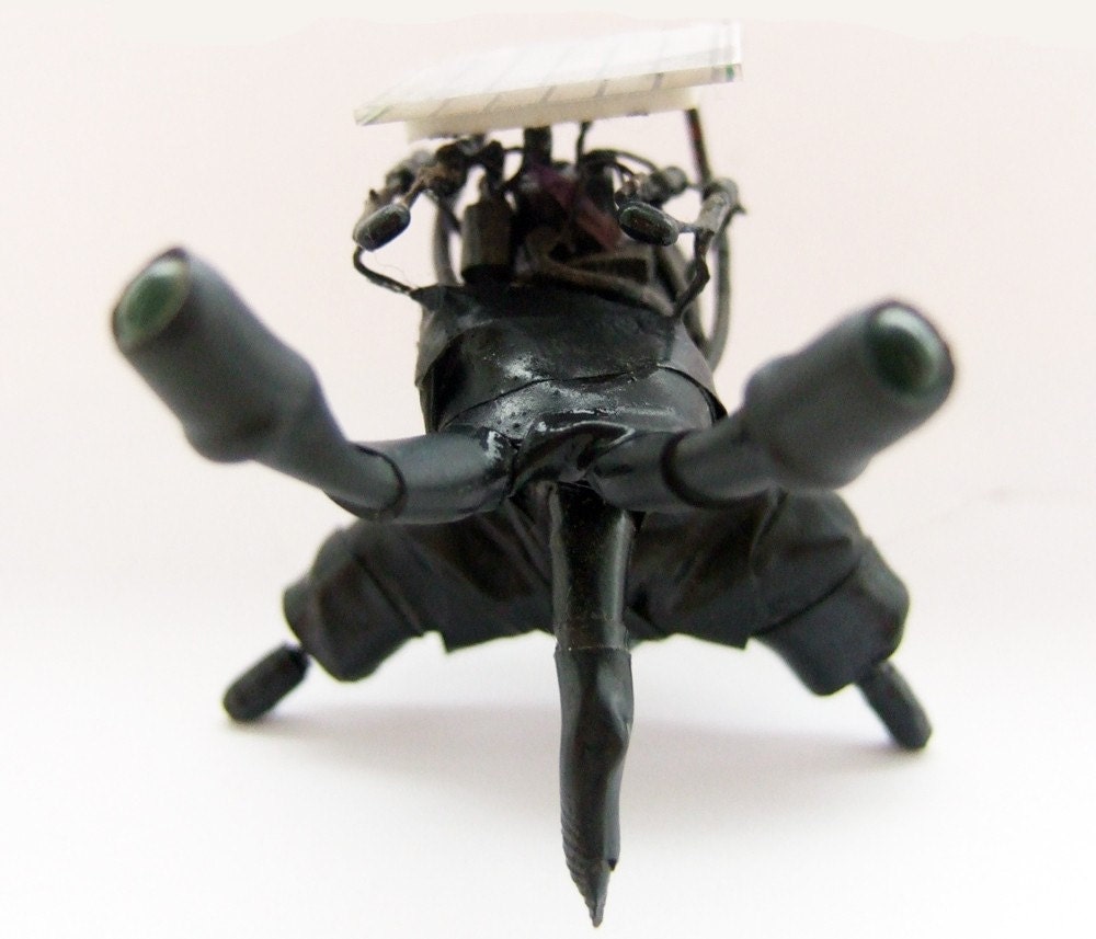 Nigel the solar powered goth bugbut