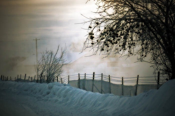 landscape photography winter blue fog fine art photography nature photography 4x6 home decor holiday decor christmas Fathers Day