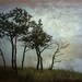 Tree Photograph, Michigan Scenic Print - Fine Art Photograph