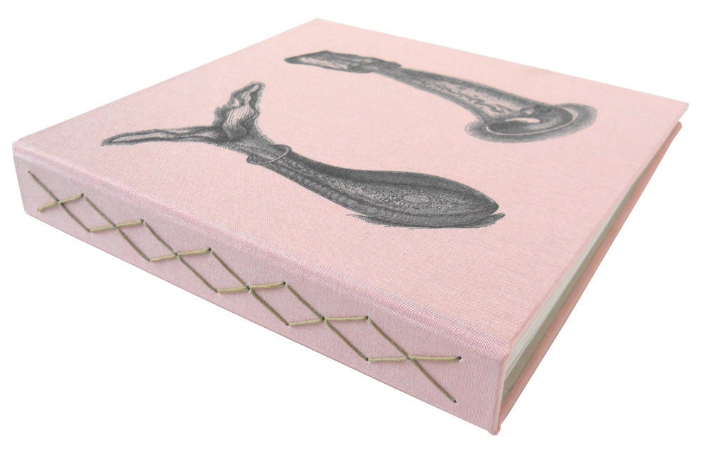 bacteria book
