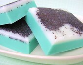 Soap - Crazy for Coconuts - All Natural Scented Glycerin Bar
