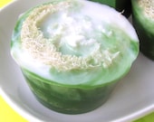 Loofah Soap - Olive Branch Button Soap - All Natural Glycerin - Great Scent for the Kitchen too - Green Soap