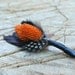 Fire Brush - naturals feather boutonniere