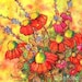 Mimosa Sky Flowers Signed 8X10 Print Sunshine Bright