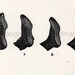 1906 How Shoes Are Made Black and White Chart