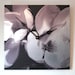 Wall clock image of Magnolia blossoms on Aluminum- SALE wholesale pricing.