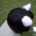 Punk Cosplay cat ears ( Nekomimi ) Fluro Orange and tartan inners or choose your own colours.