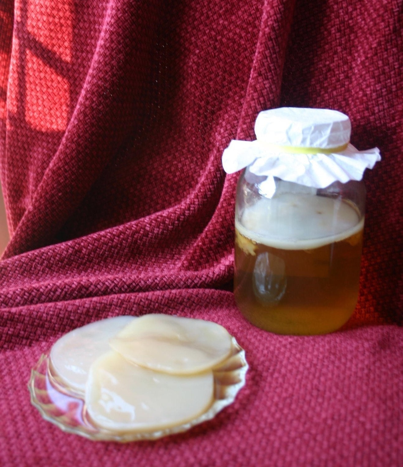 Kombucha Culture Mushroom Scoby ORGANIC