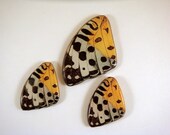 3 pc Butterfly Wing Pendant Focal Set Double Sided Laminated Focal - 3 pc - 5690