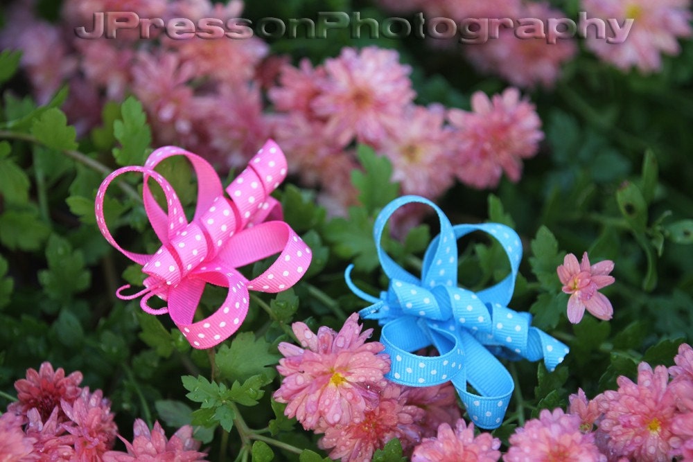Dragonfly Clippie