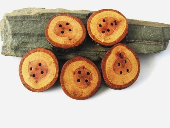 Wood Buttons Reclaimed Branch Wood Set of 5 at Hendywood