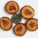 Wood Buttons Reclaimed Branch Wood Set of 5 at Hendywood